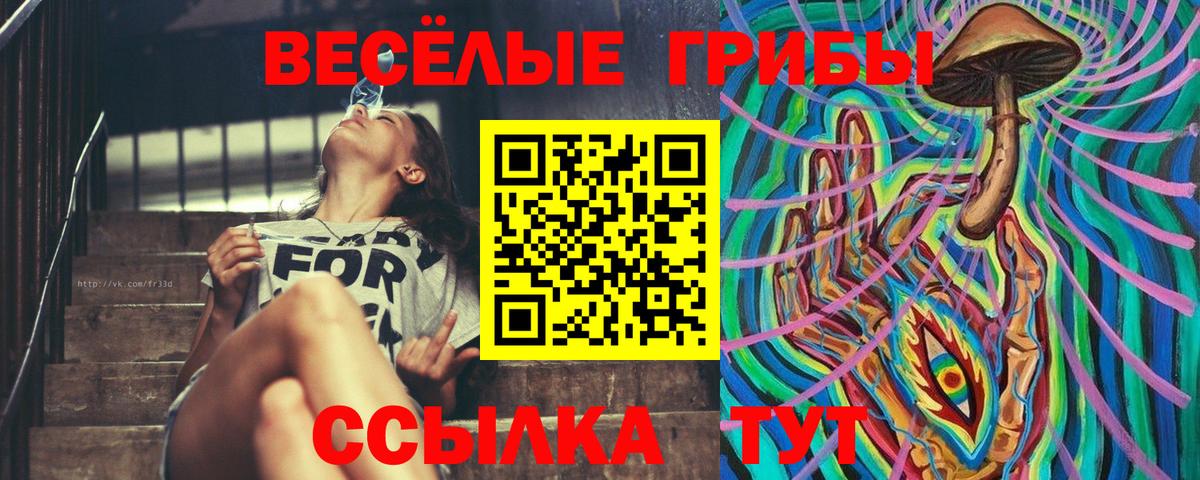 где продают   Псилоцибиновые грибы Psilocybe  Галлюциногенные грибы Psilocybe  Вход с VPN  Кизляр 